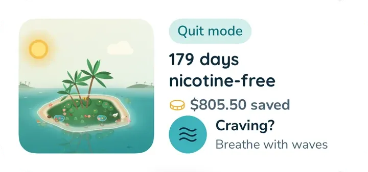 The medium widget: the island, 179 days nicotine-free, the money saved and a Craving? button.