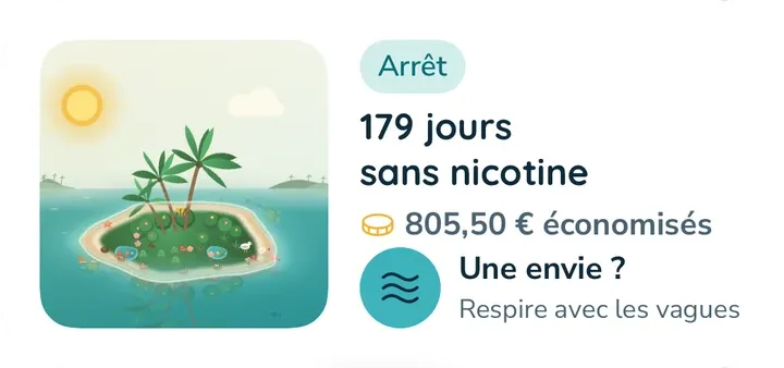 Le widget moyen : l'île, 179 jours sans nicotine, l'argent économisé et un bouton « Envie ? ».