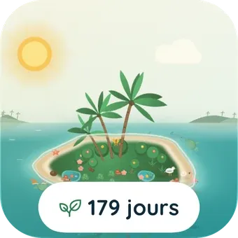 Le petit widget : l'île et 179 jours.